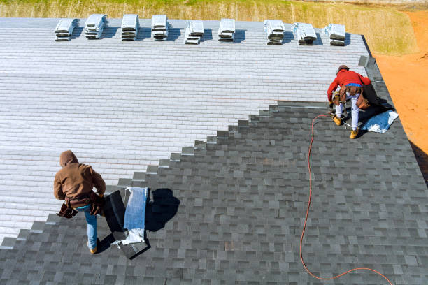 Best Roof Waterproofing Services  in Lamont, MI