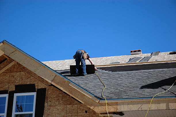 Best Roof Gutter Cleaning  in Lamont, MI