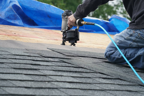 Best Best Roofing Contractors  in Lamont, MI