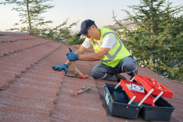 Quick and Trustworthy Emergency Roof Repair Services in Lamont, MI