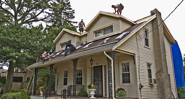 Trusted Lamont, MI Roofing Contractor Experts