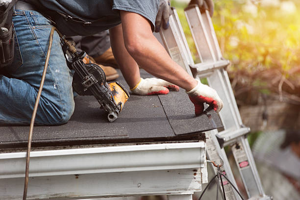 Best Residential Roofing Contractor  in Lamont, MI