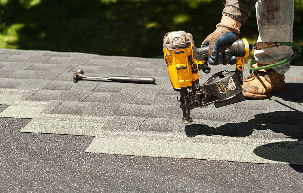 Best Storm Damage Roof Repair  in Lamont, MI